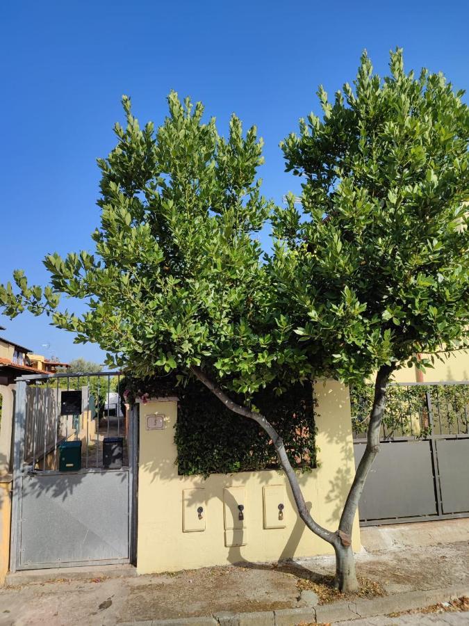 Apartamento Pula Brown Experience South Sardinia Exterior foto